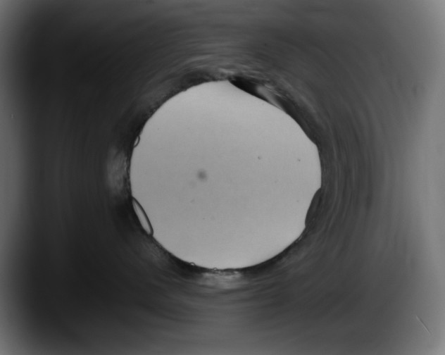 X0000087520480200705251643