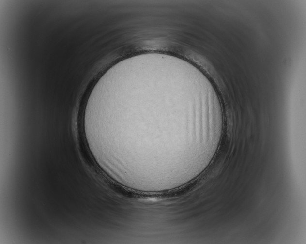 X0000087520482200705251642