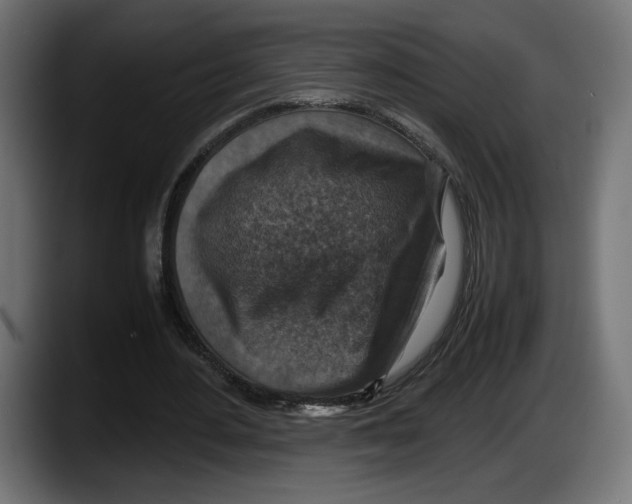 X0000087520484200705251642