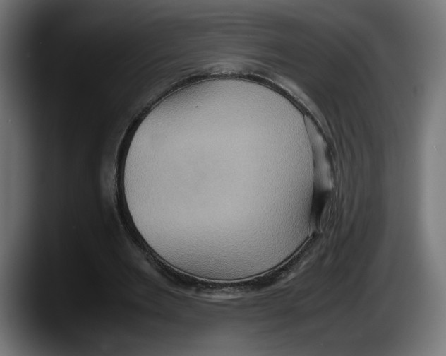 X0000087520485200705251642