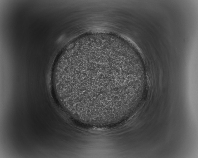 X0000087520487200705251642