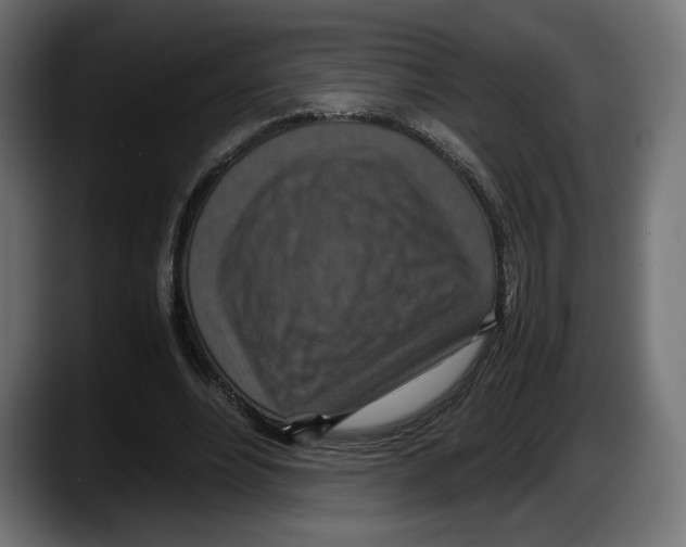 X0000087520488200705251642