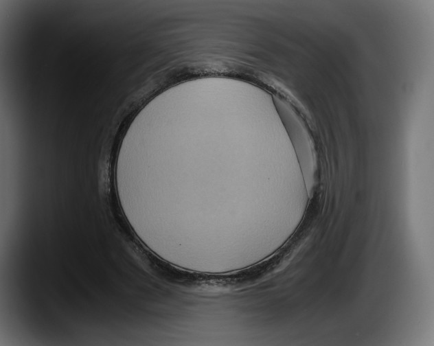 X0000087520489200705251642