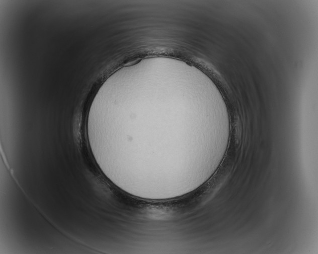 X0000087520490200705251642