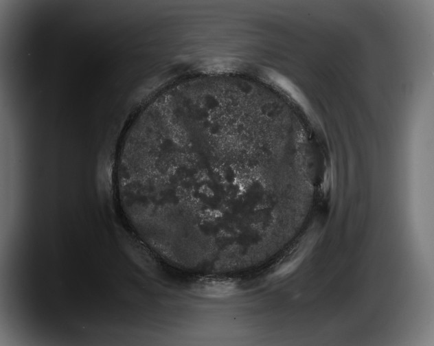 X0000087520491200705251642