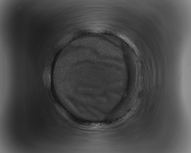 X0000087520493200705251642