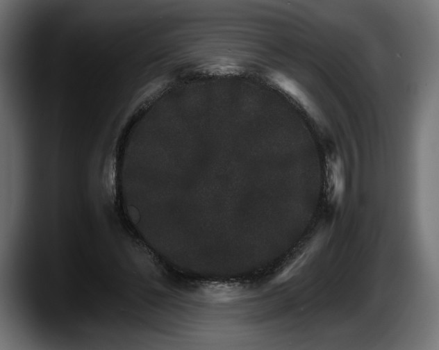 X0000087520494200705251642