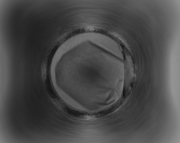 X0000087520496200705251642