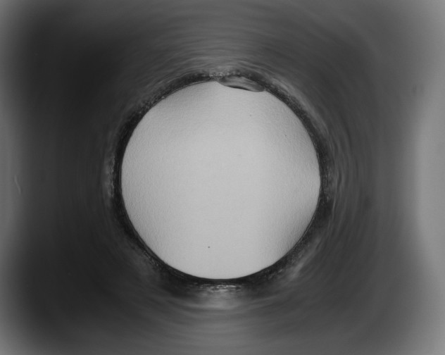 X0000087520497200705251642