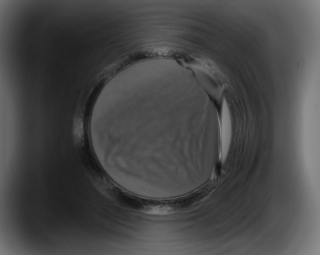 X0000087520500200705251642