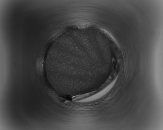 X0000087520501200705251642