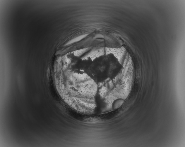 X0000087520503200705251642