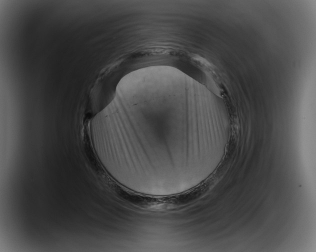 X0000087520504200705251642