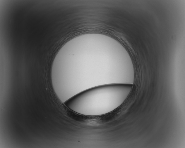 X0000087520505200705251642