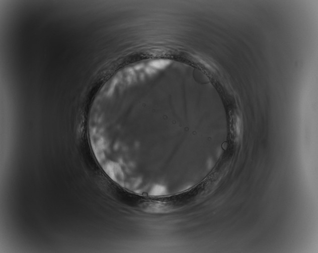 X0000087520507200705251642