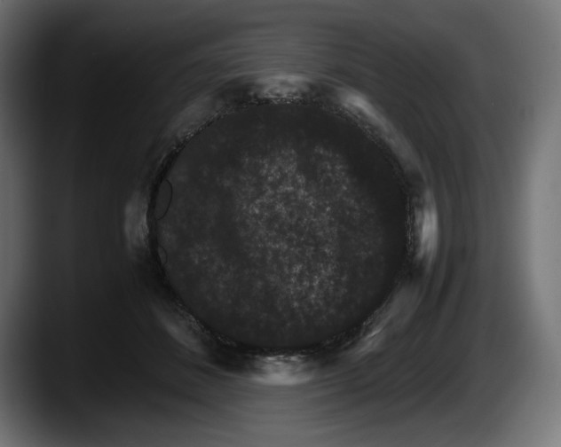 X0000087520508200705251642