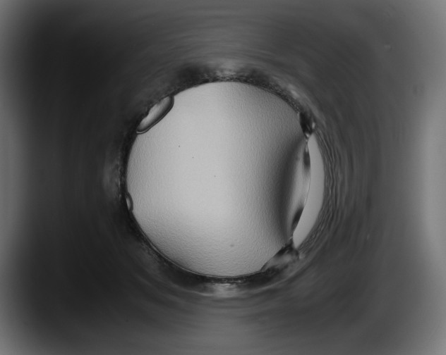 X0000087520509200705251642