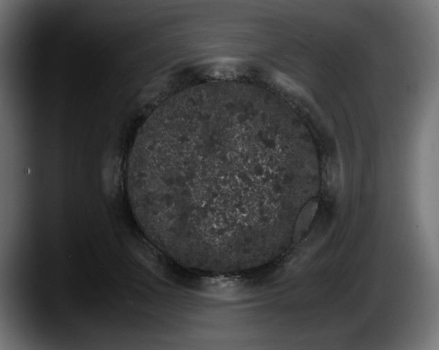 X0000087520511200705251642