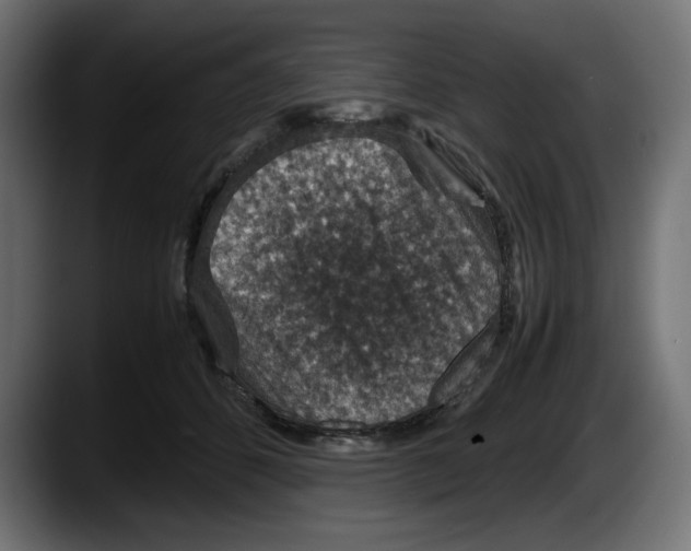 X0000087520512200705251642