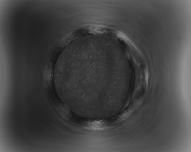 X0000087520513200705251642