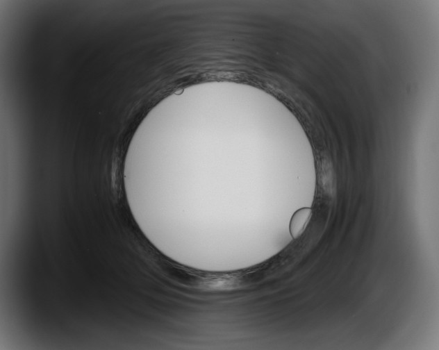 X0000087520514200705251642