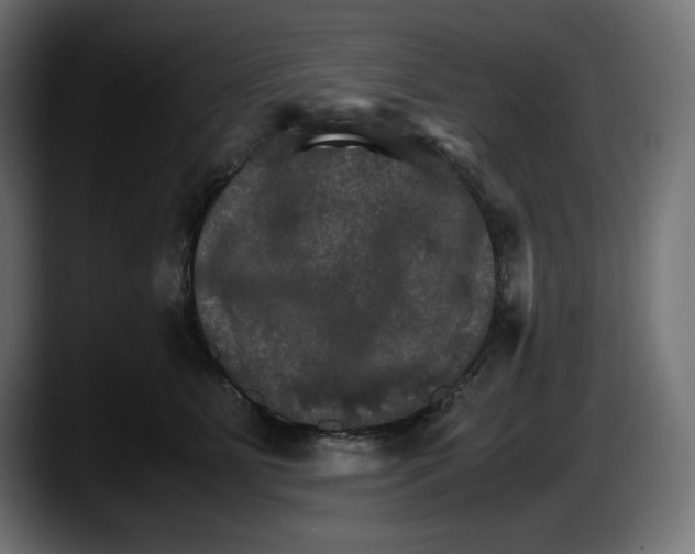 X0000087520515200705251642