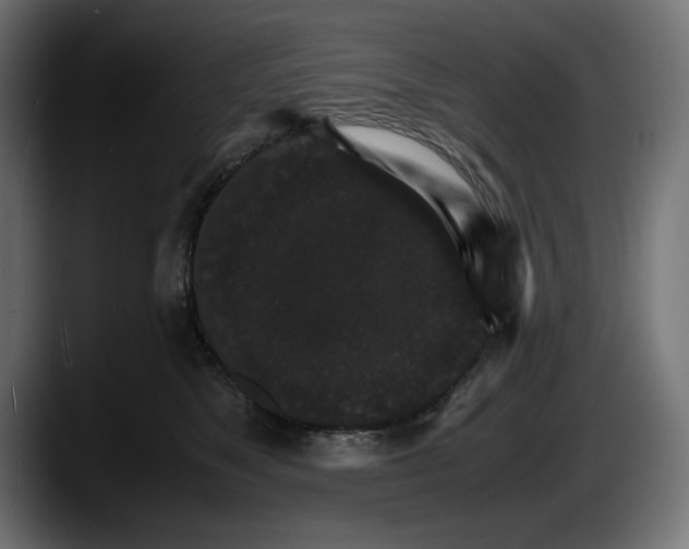 X0000087520517200705251642