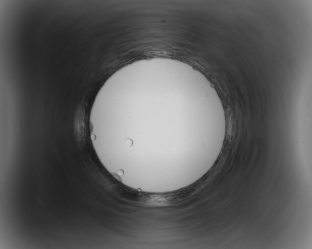 X0000087520518200705251642