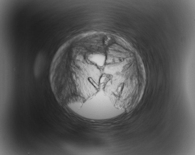 X0000087520519200705251642