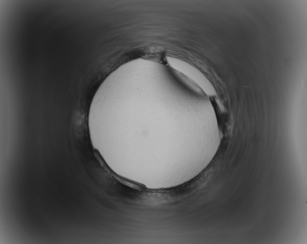 X0000087520521200705251642