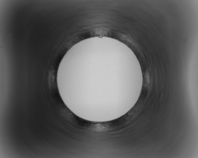 X0000087520522200705251642