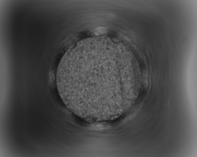 X0000087520523200705251642