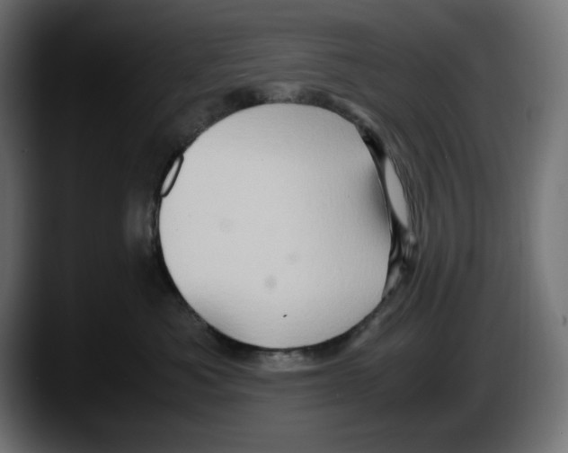 X0000087520525200705251642