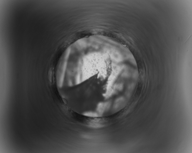 X0000087520527200705251642