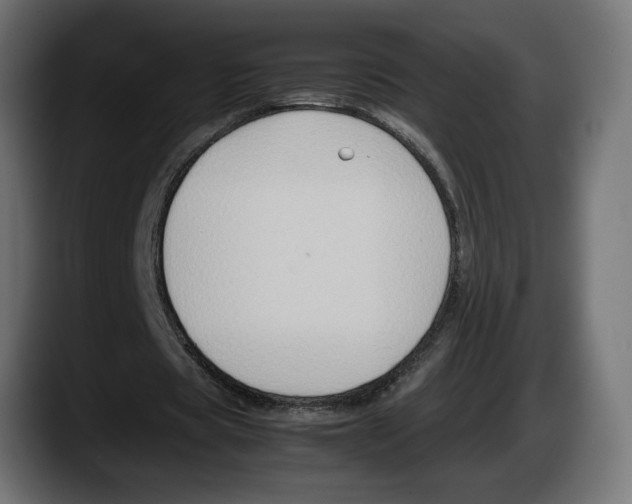 X0000087520529200705251641