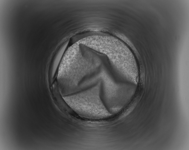 X0000087520530200705251641