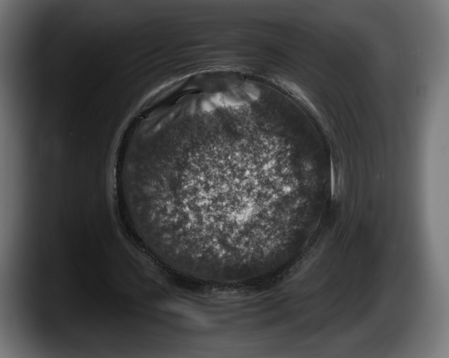 X0000087520531200705251641