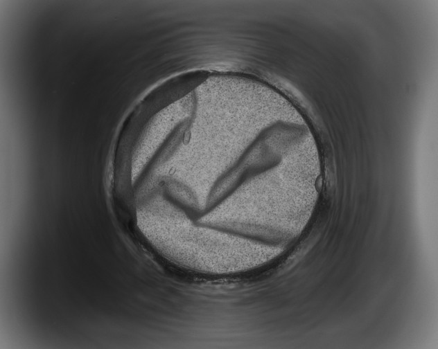 X0000087520532200705251641