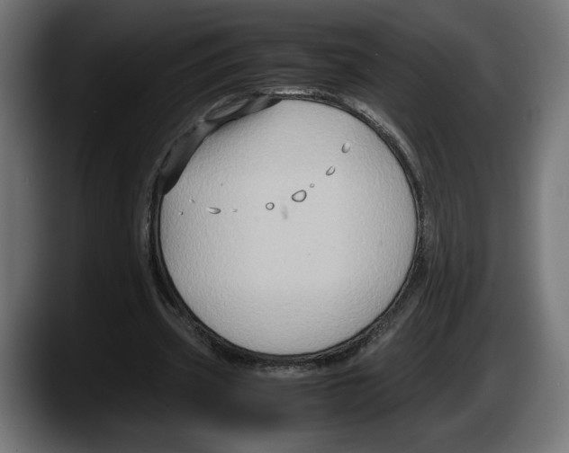 X0000087520533200705251641