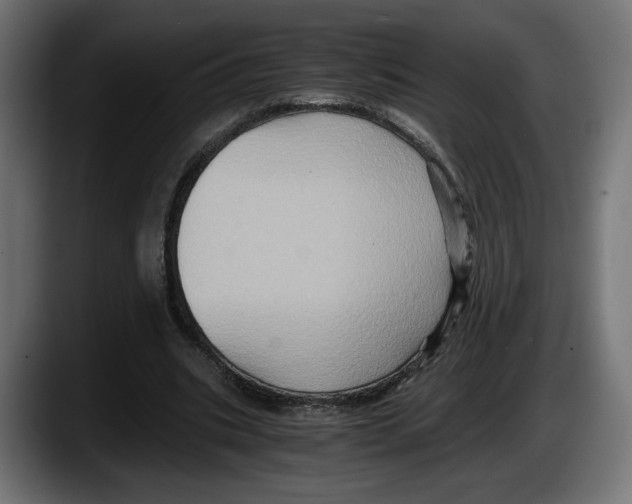 X0000087520535200705251641