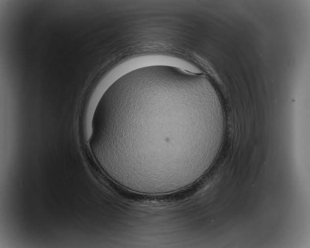 X0000087520538200705251641