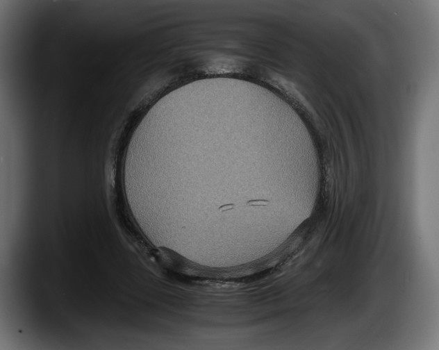 X0000087520539200705251641