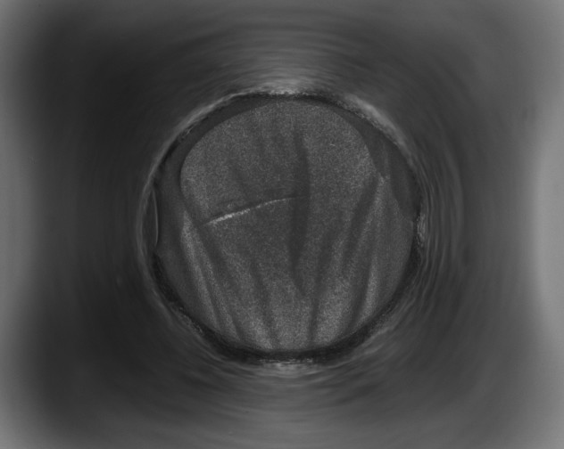 X0000087520540200705251641