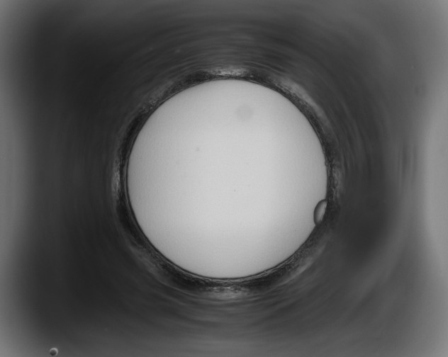 X0000087520541200705251641