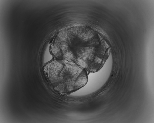 X0000087520542200705251641