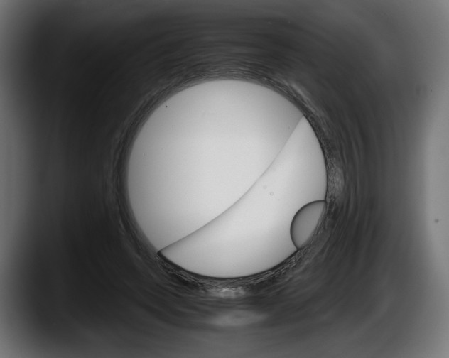 X0000087520543200705251641