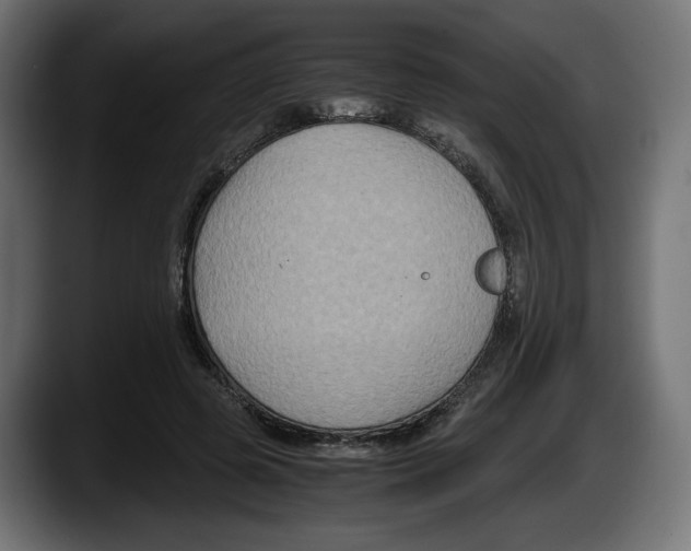 X0000087520545200705251641