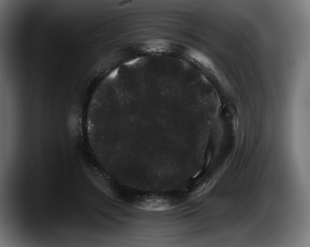 X0000087520547200705251641