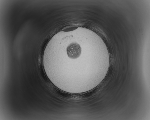 X0000087520549200705251641