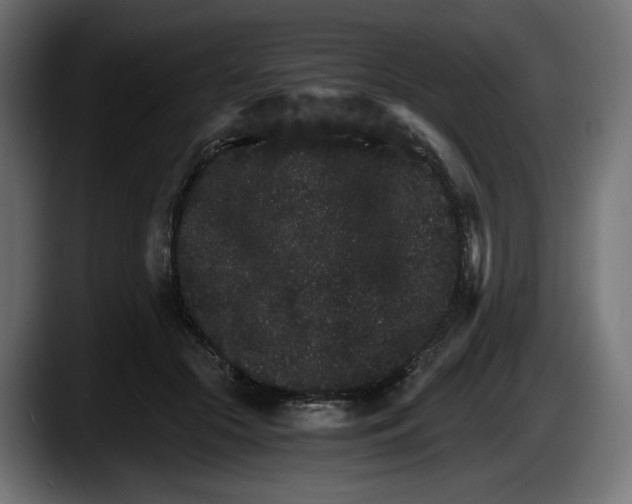 X0000087520553200705251641